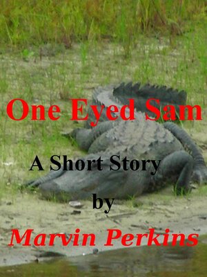 cover image of One Eyed Sam